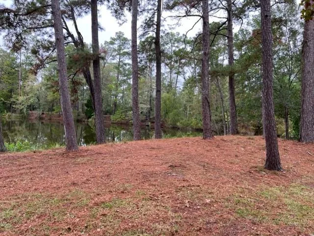 29 Thomas Lake Road Riverside, TX 77367