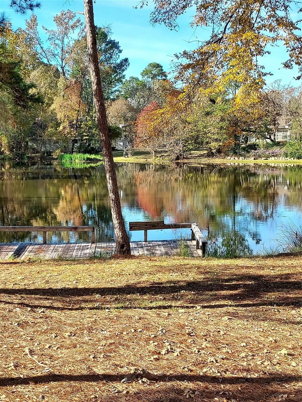 29 Thomas Lake Road Riverside, TX 77367
