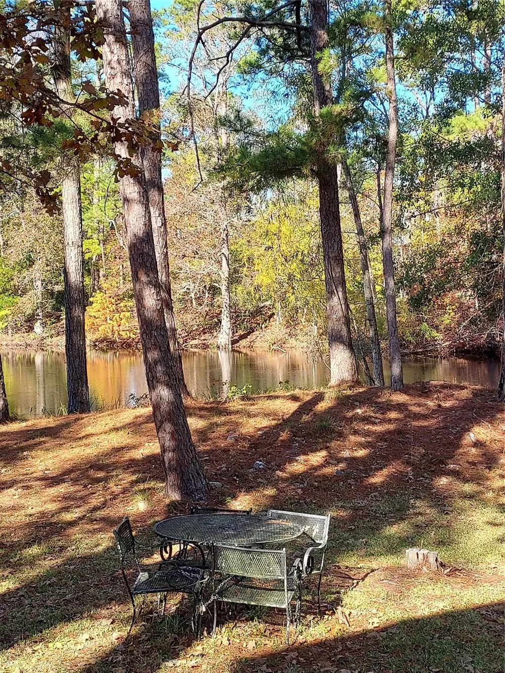 29 Thomas Lake Road Riverside, TX 77367