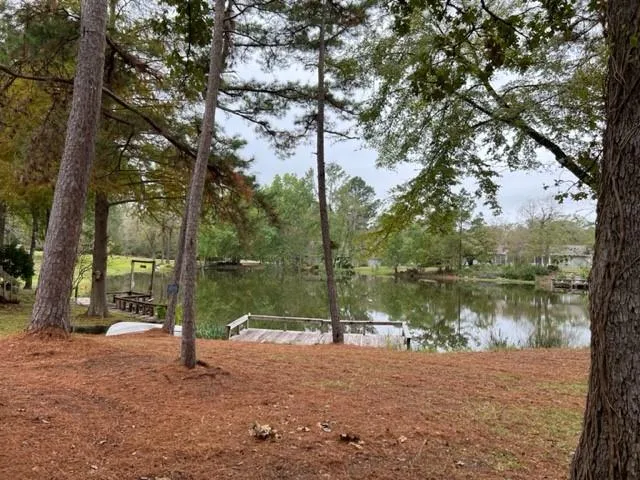 29 Thomas Lake Road Riverside, TX 77367