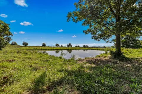 1619 S State Highway 237