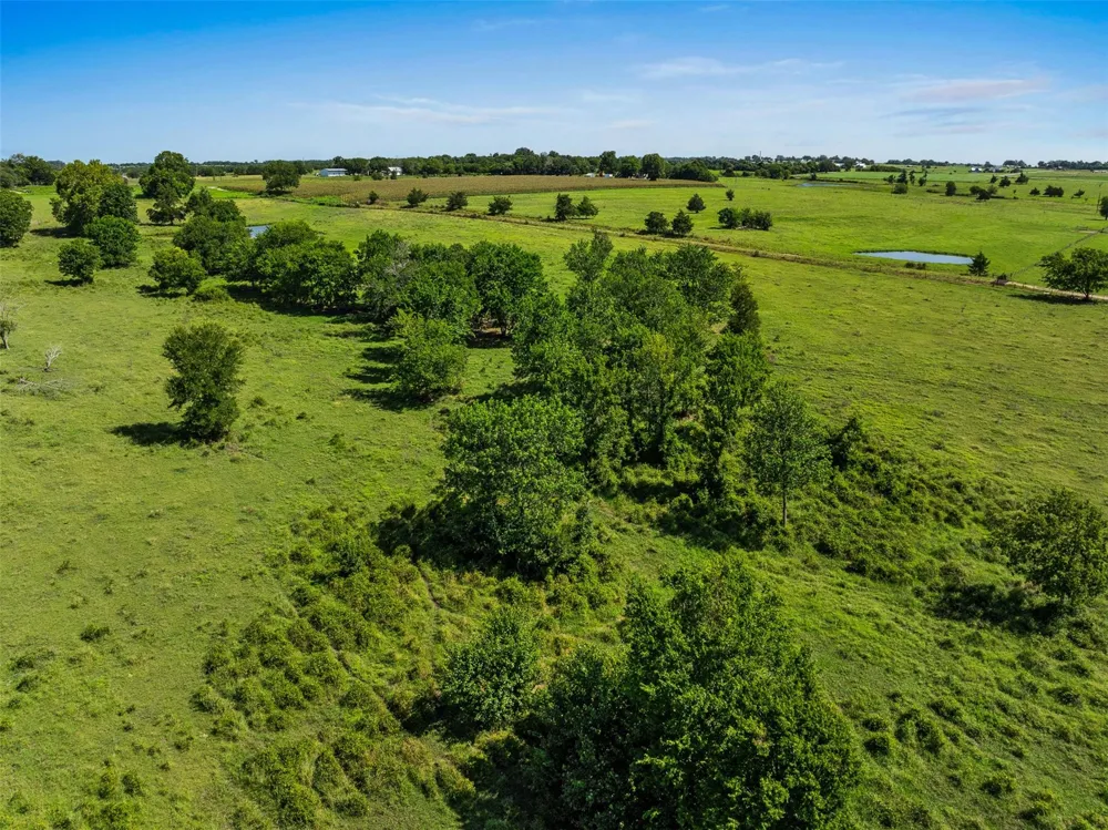 1619 S State Highway 237 Round Top, TX 78954