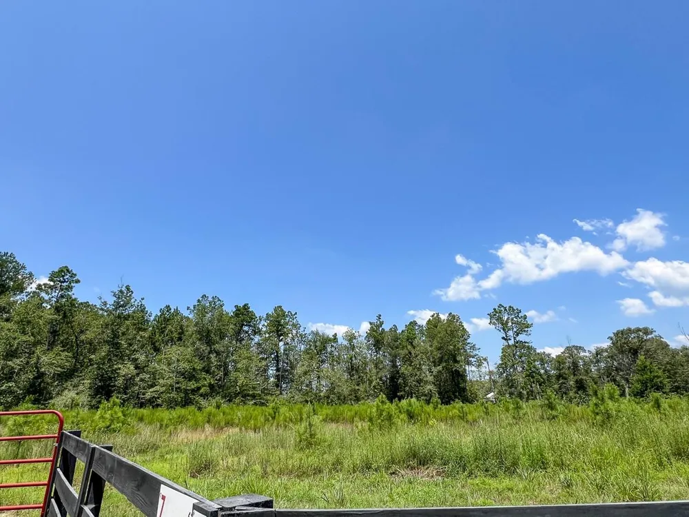 7 Purvis Blvd Corrigan, TX 77351