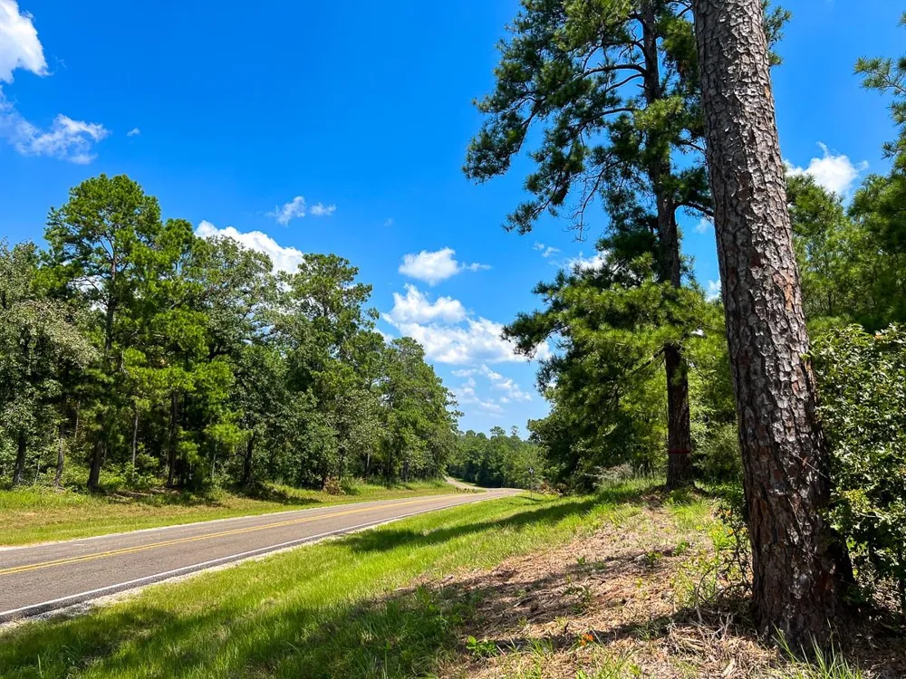 Farm To Market 352 Corrigan, TX 77351