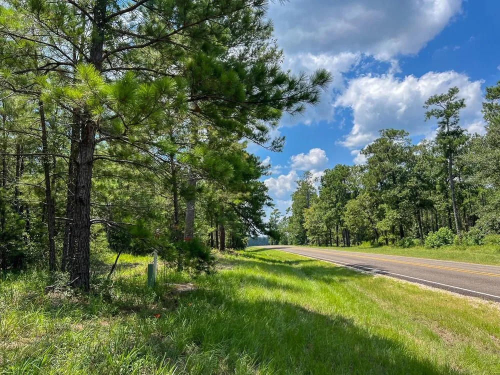 Farm To Market 352 Corrigan, TX 77351