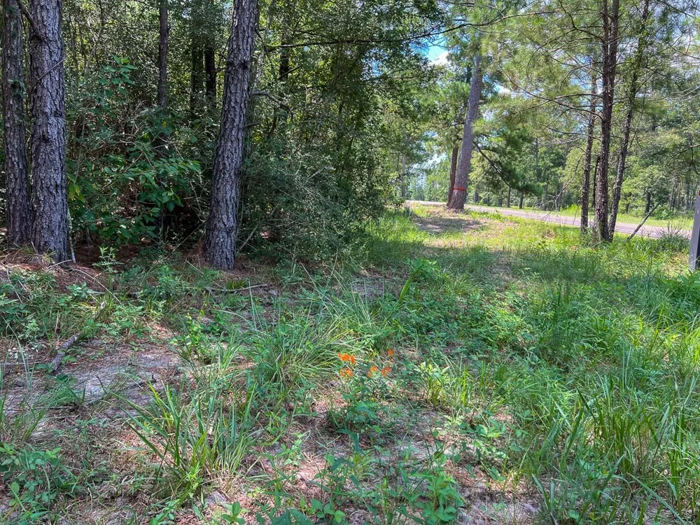 Farm To Market 352 Corrigan, TX 77351