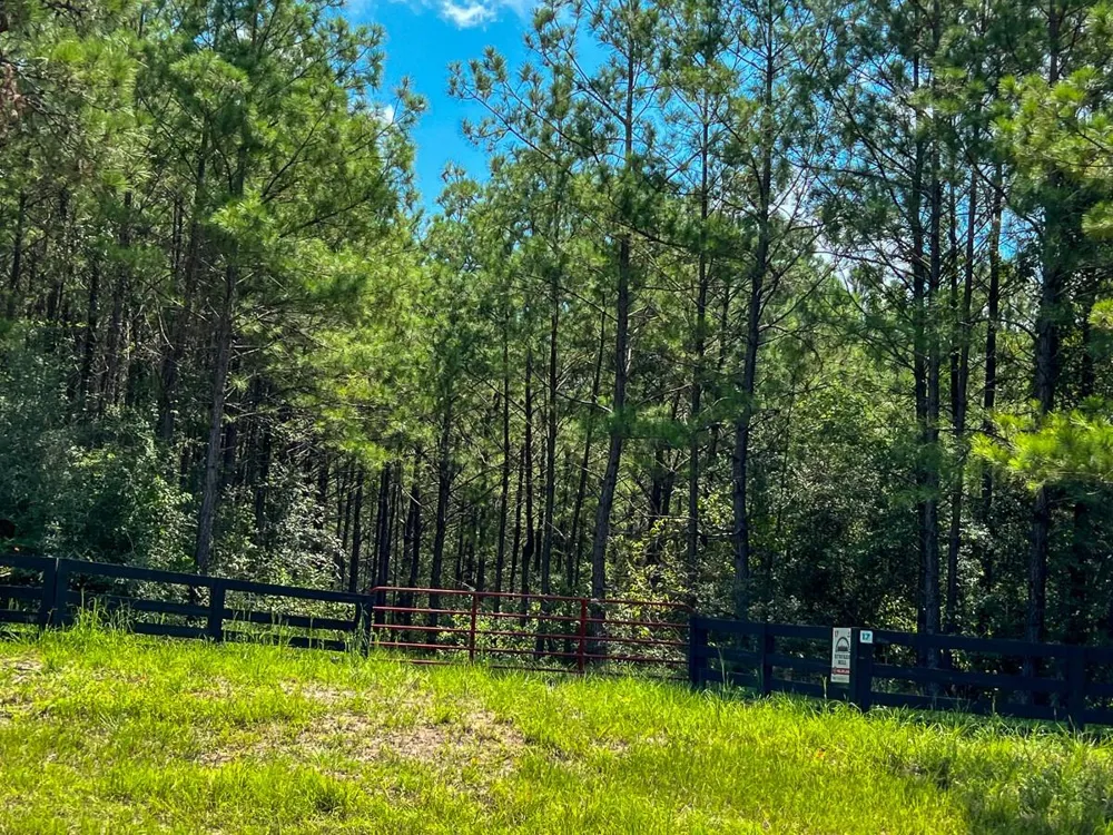 Farm To Market 352 Corrigan, TX 77351