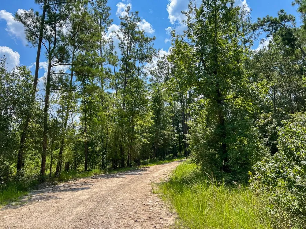 Farm To Market 352 Corrigan, TX 77351