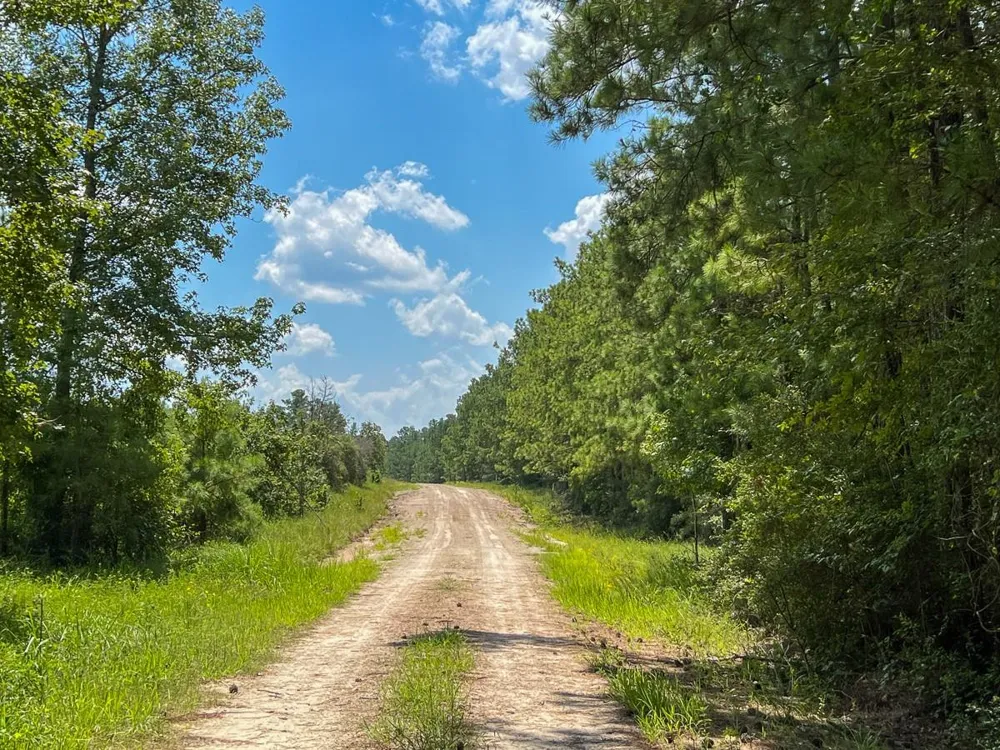 Farm To Market 352 Corrigan, TX 77351