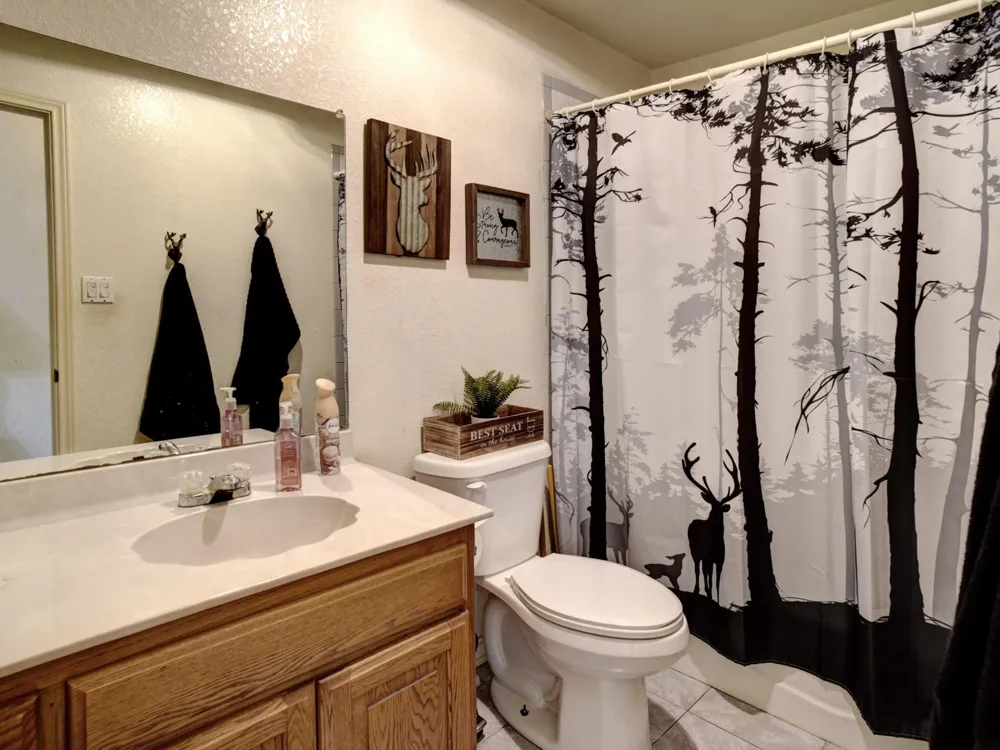 294 Lois Lane Paige, TX 78659