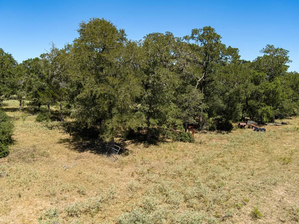 294 Lois Lane Paige, TX 78659