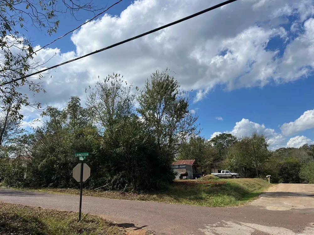 110 Bolivar St San Augustine, TX 75972