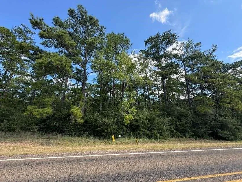 2940 Sam Rayburn Parkway Brookeland, TX 75931