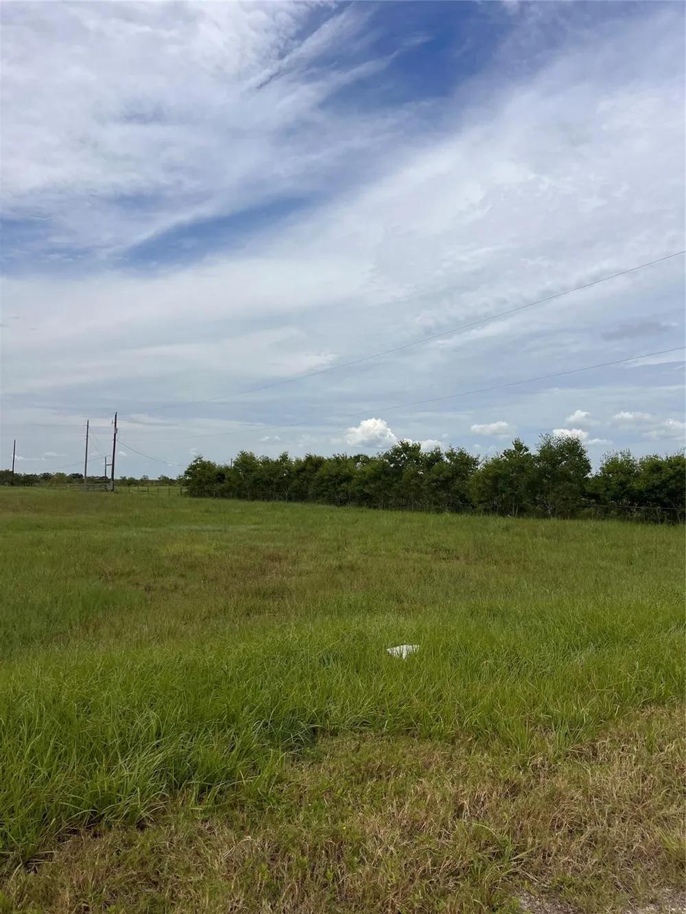 27250 Fm 2004 Angleton, TX 77515