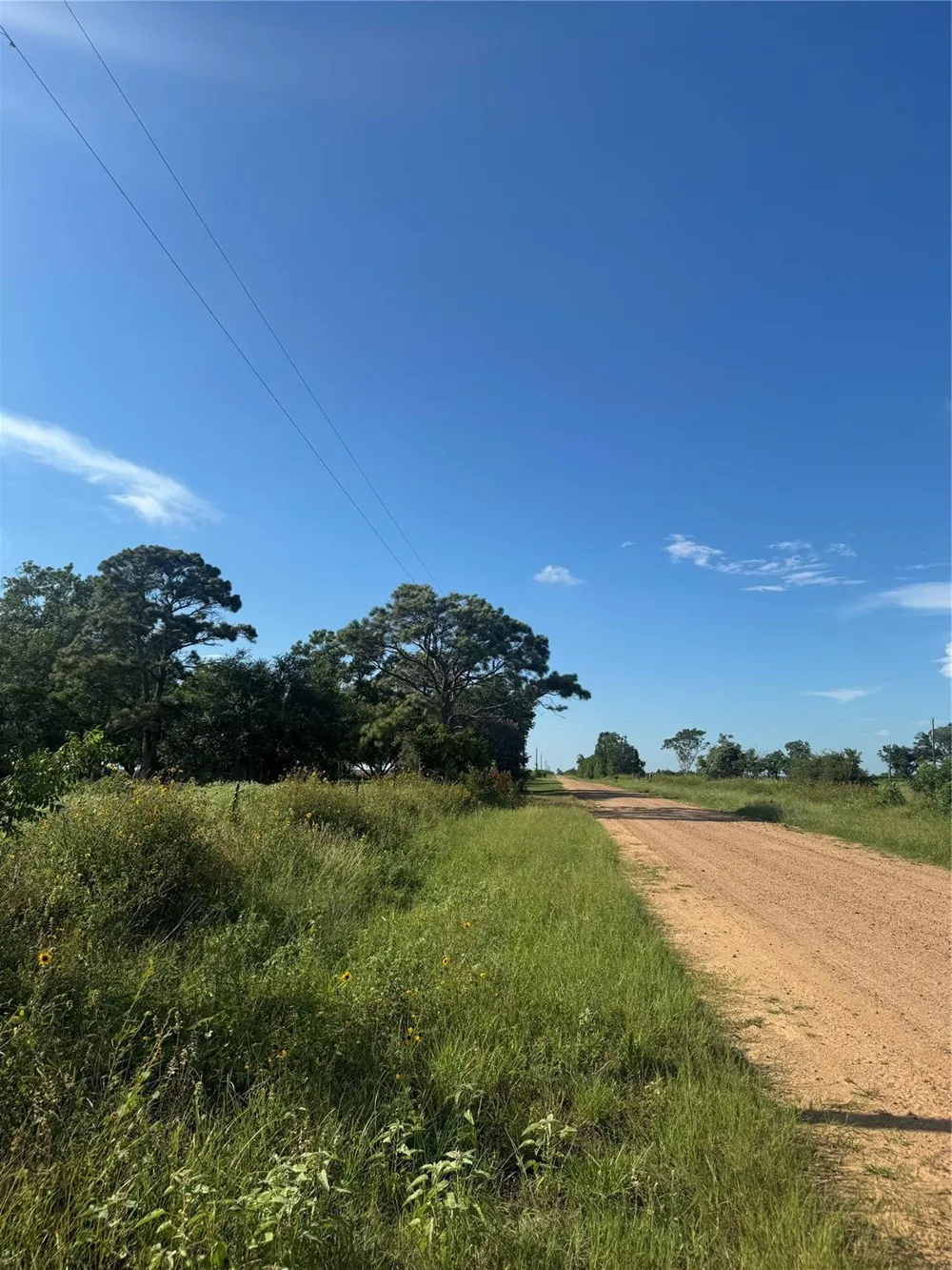 County Road 316 El Campo, TX 77437