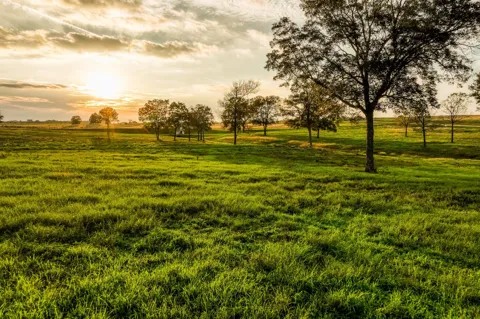 Sunny Hills Lot 33 Drive