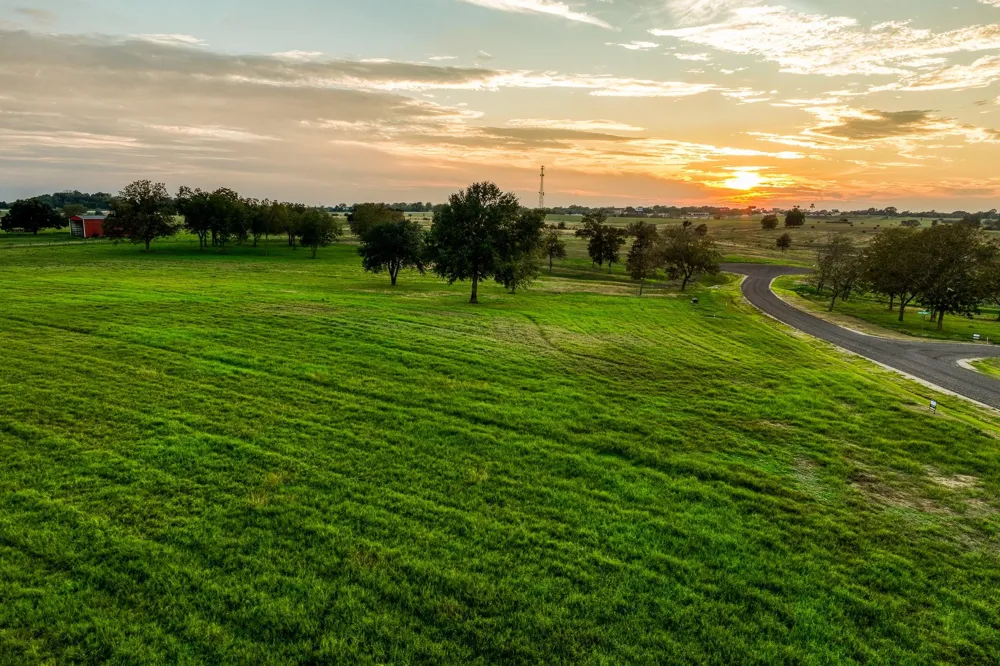 Sunny Meadow Lot 26 Drive Chappell Hill, TX 77426