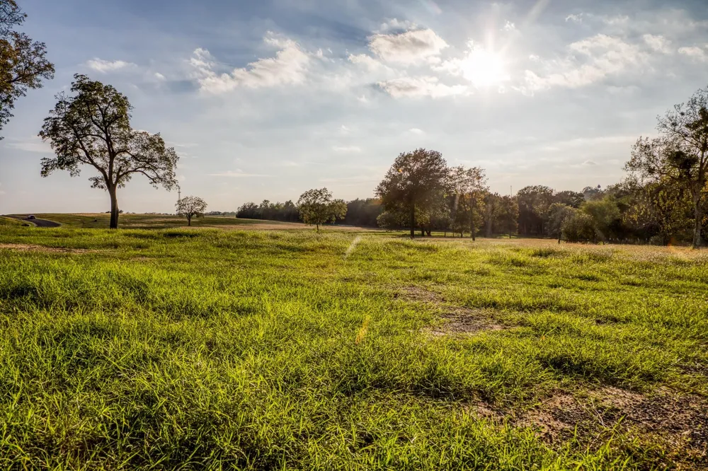 Sunny Meadow Lot 26 Drive Chappell Hill, TX 77426