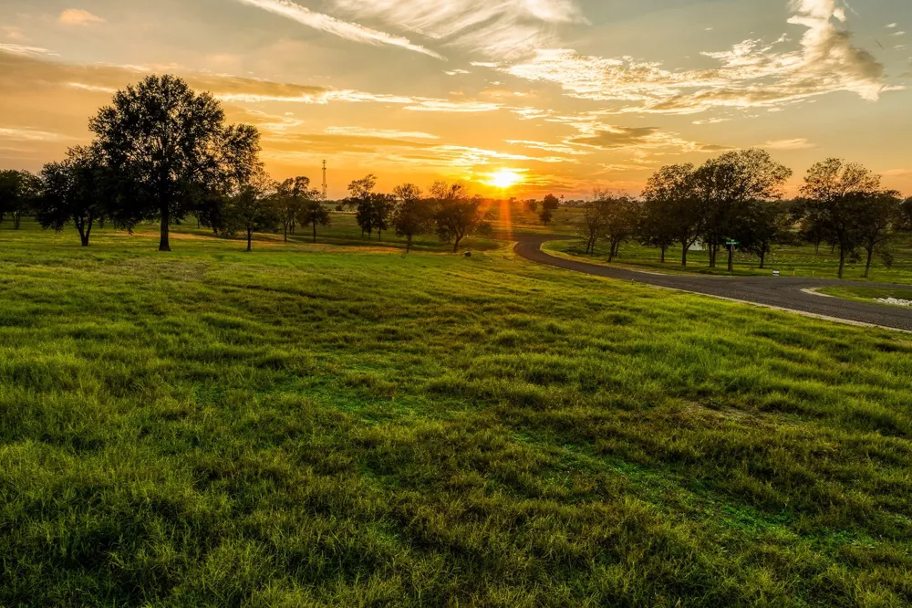 Sunny Meadow Lot 25 Drive Chappell Hill, TX 77426