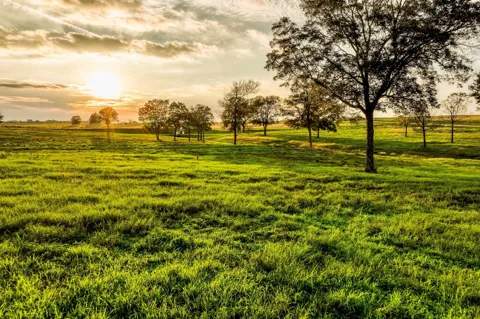 Sunny Hills, Lot 1 Drive