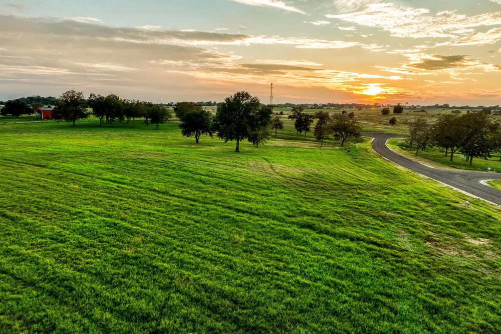 Sunny Hills, Lot 1 Drive Chappell Hill, TX 77426