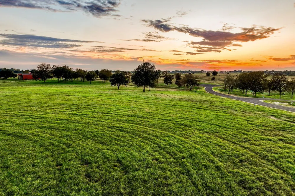Sunny Hills, Lot 1 Drive Chappell Hill, TX 77426