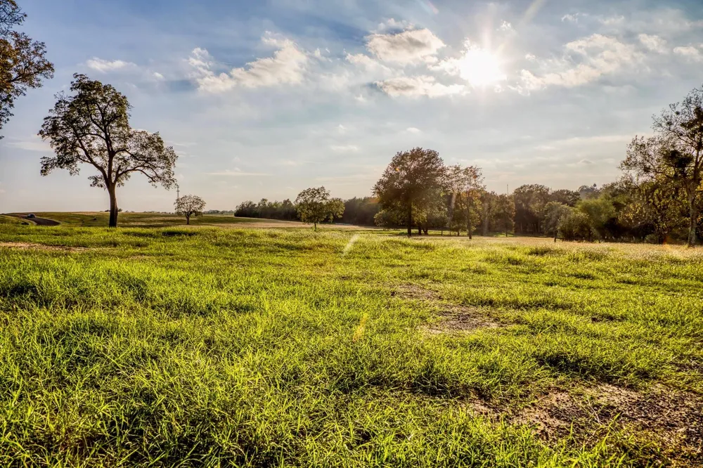 Sunny Hills, Lot 1 Drive Chappell Hill, TX 77426