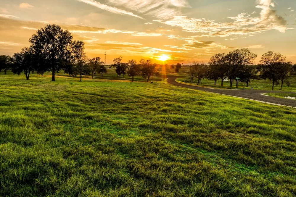 Sunny Hills, Lot 1 Drive Chappell Hill, TX 77426