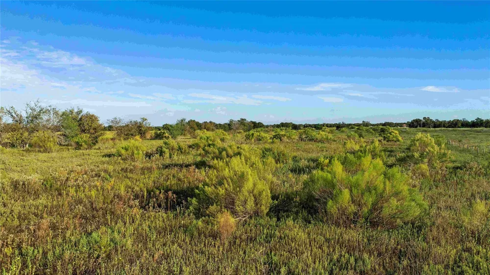 County Road 216 Caldwell, TX 77836