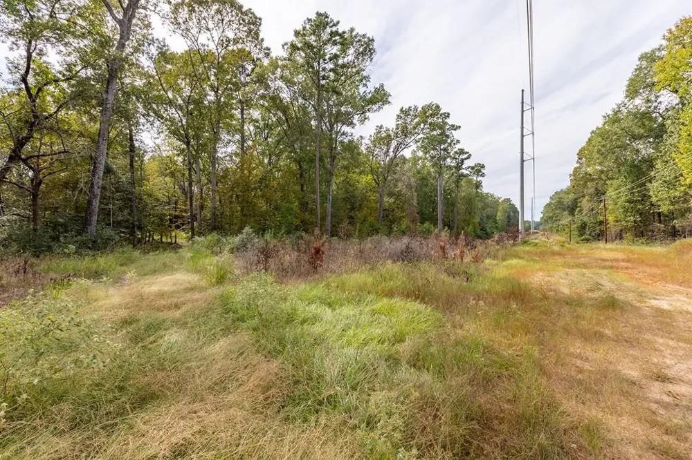 33234 Platt Road Lufkin, TX 75901