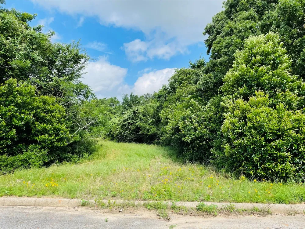 18 Holly Court Buffalo, TX 75831
