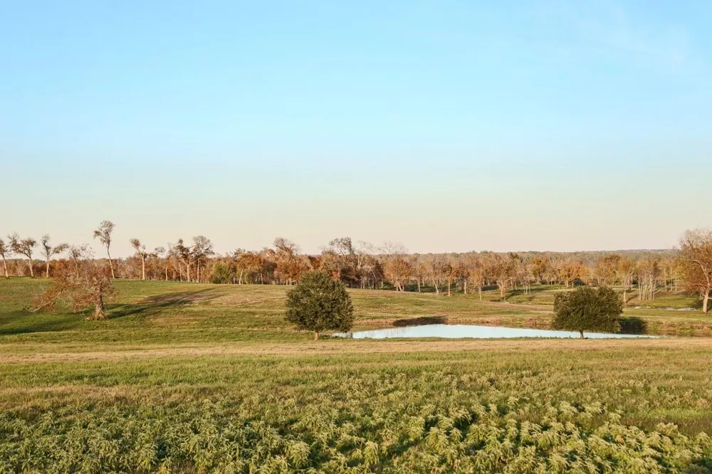 5925 Old Three Hundred Drive Washington, TX 77880