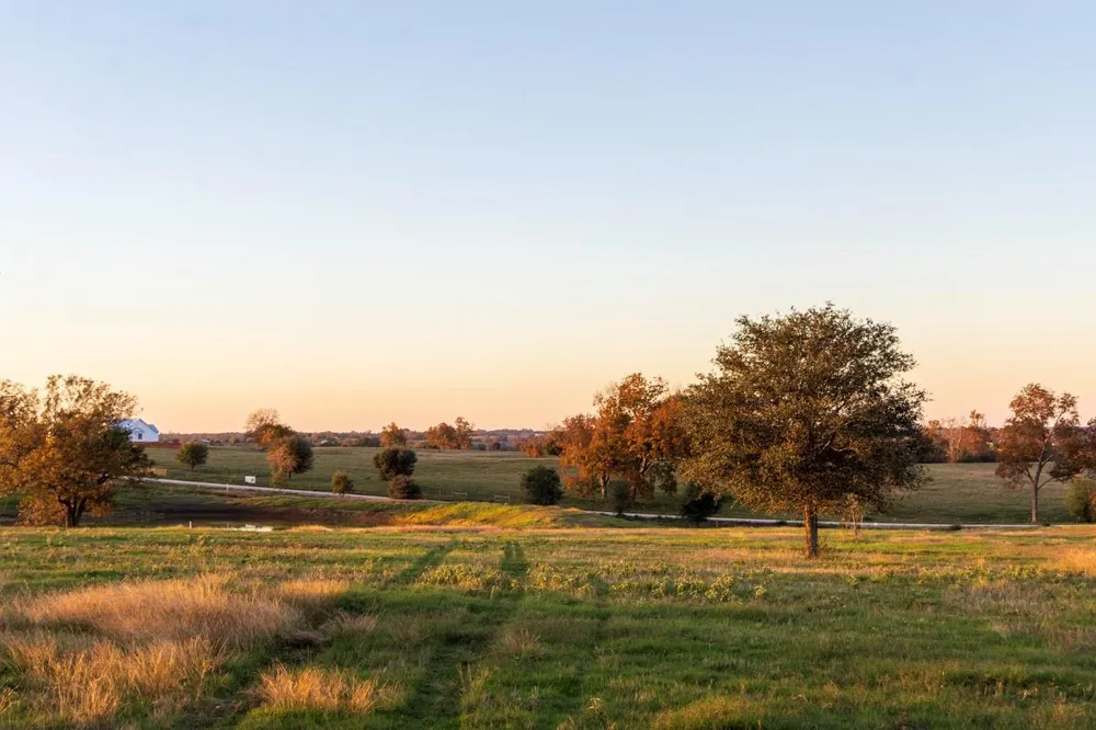 5925 Old Three Hundred Drive Washington, TX 77880