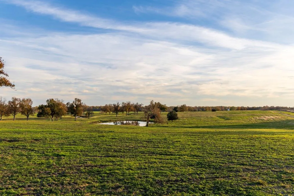6164 Brazos Bow Way Washington, TX 77880
