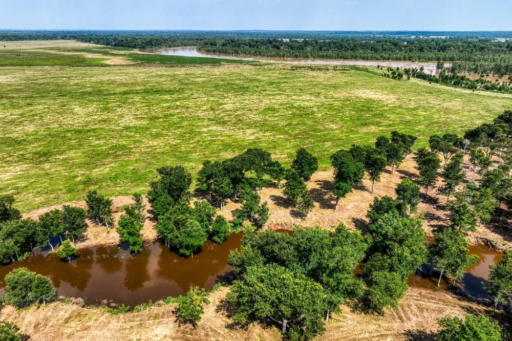 6164 Brazos Bow Way Washington, TX 77880