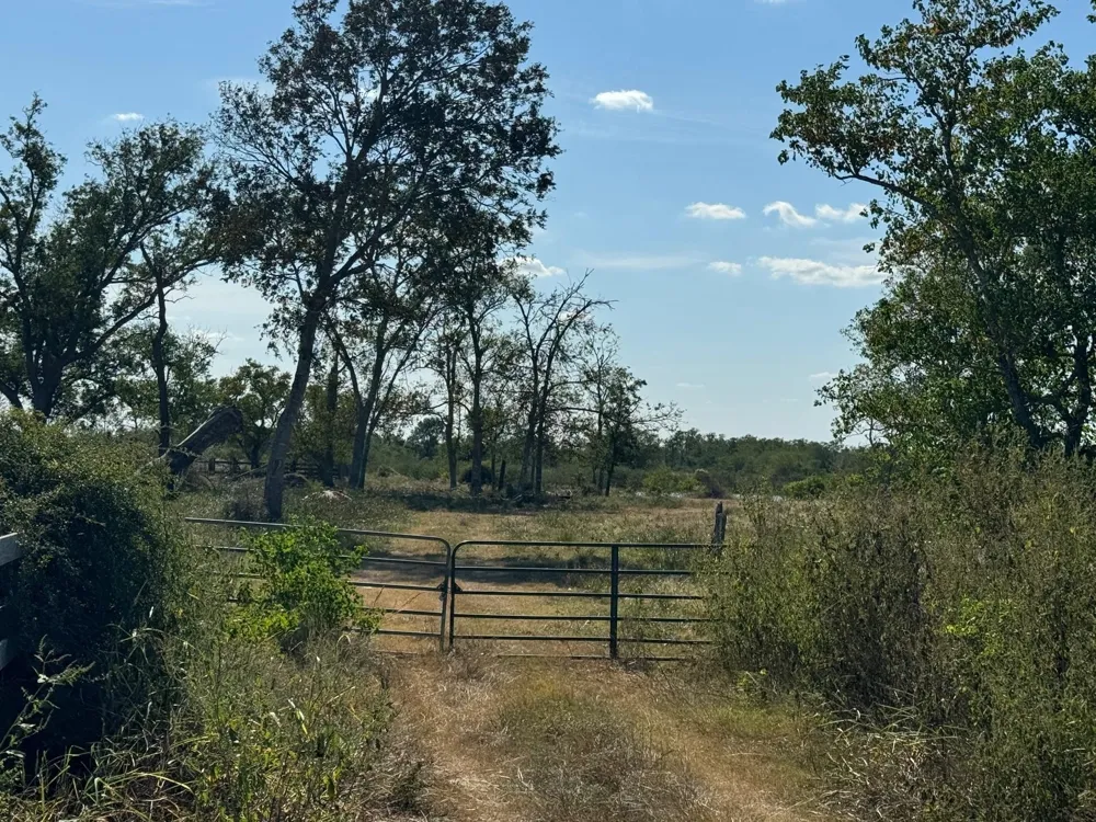 Highway 36 S Guy, TX 77444