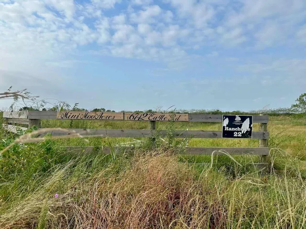 6742 Eagle Rd Anahuac, TX 77514