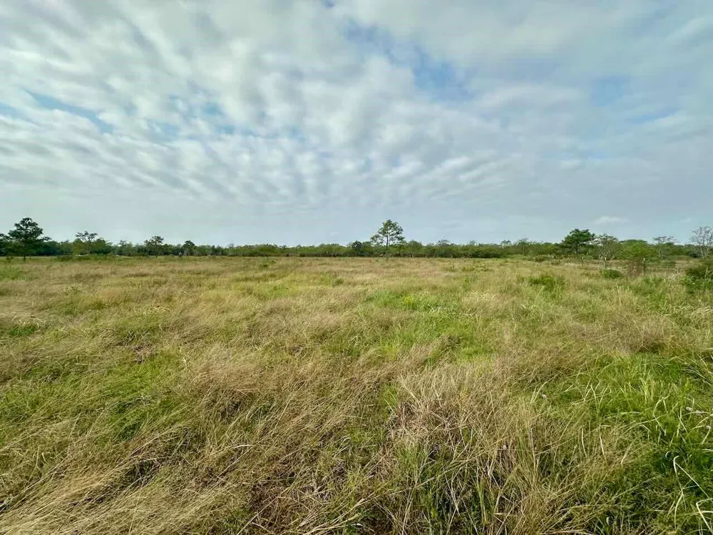6742 Eagle Rd Anahuac, TX 77514