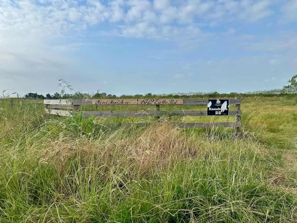 6742 Eagle Rd Anahuac, TX 77514