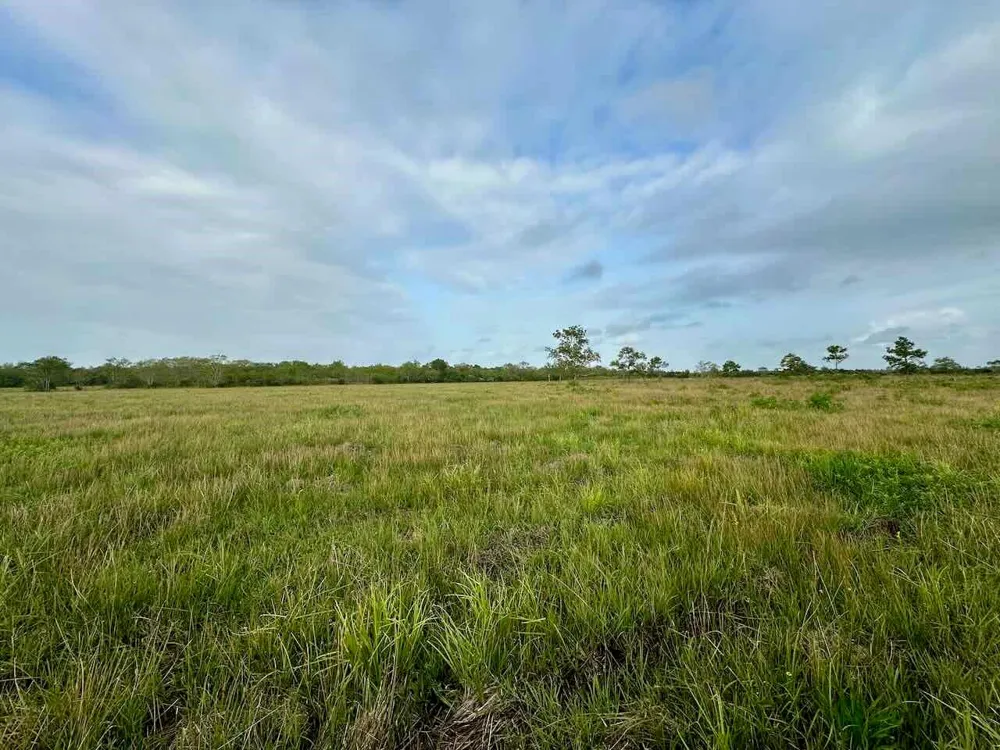 6742 Eagle Rd Anahuac, TX 77514