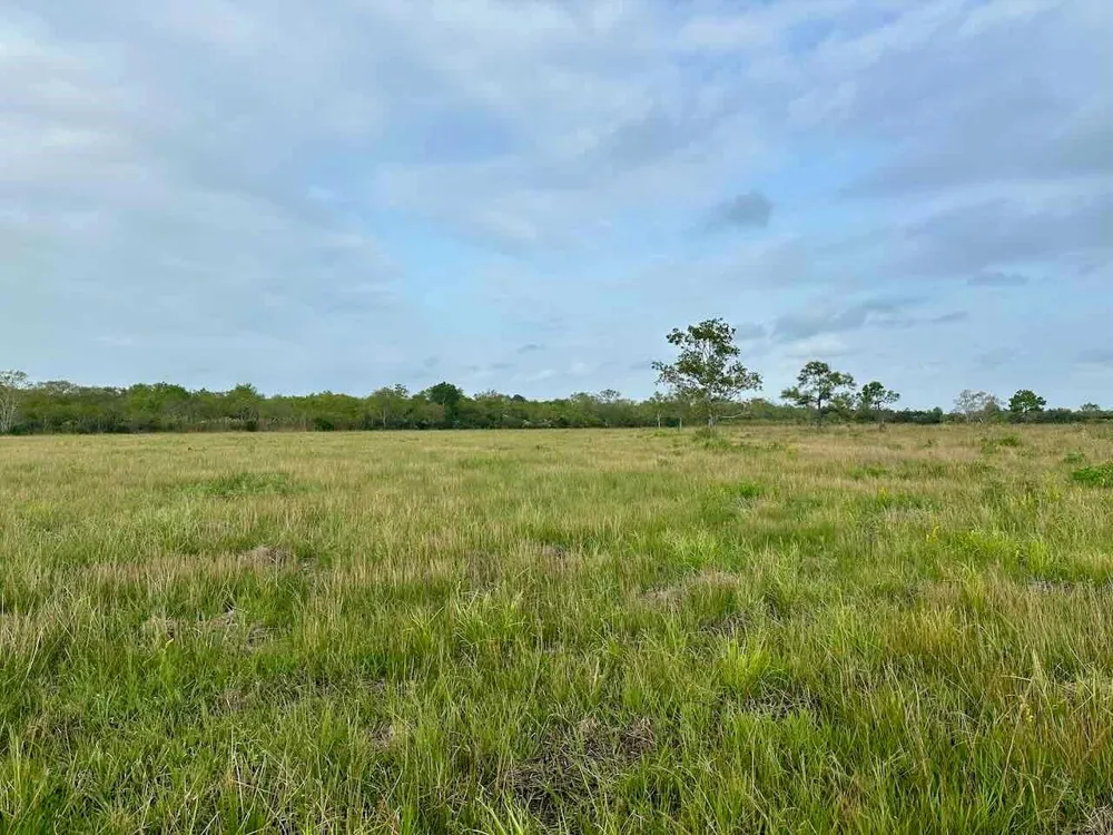 6742 Eagle Rd Anahuac, TX 77514