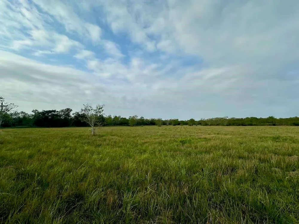 6742 Eagle Rd Anahuac, TX 77514