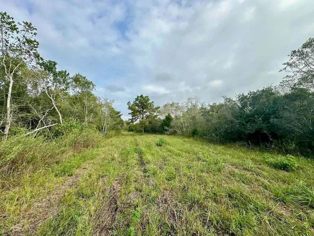 6742 Eagle Rd Anahuac, TX 77514