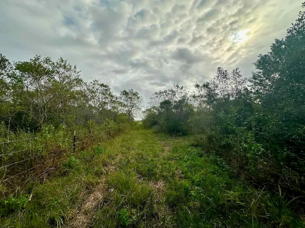 6742 Eagle Rd Anahuac, TX 77514