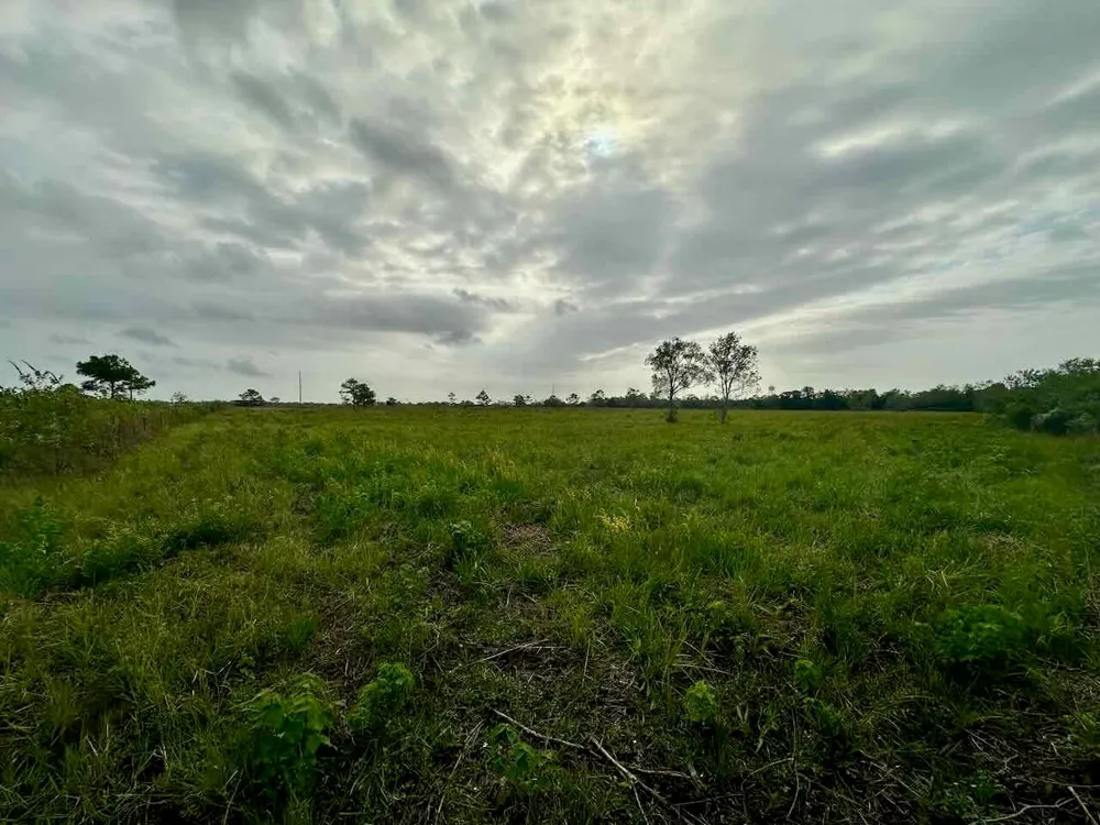 6742 Eagle Rd Anahuac, TX 77514