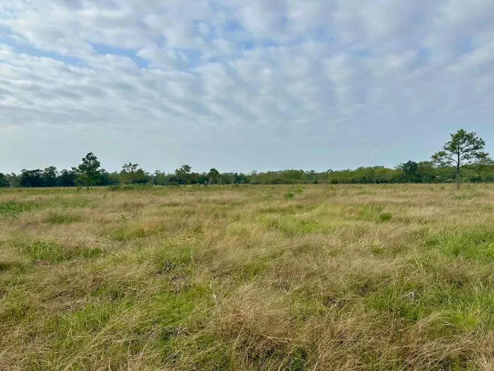 6742 Eagle Rd Anahuac, TX 77514