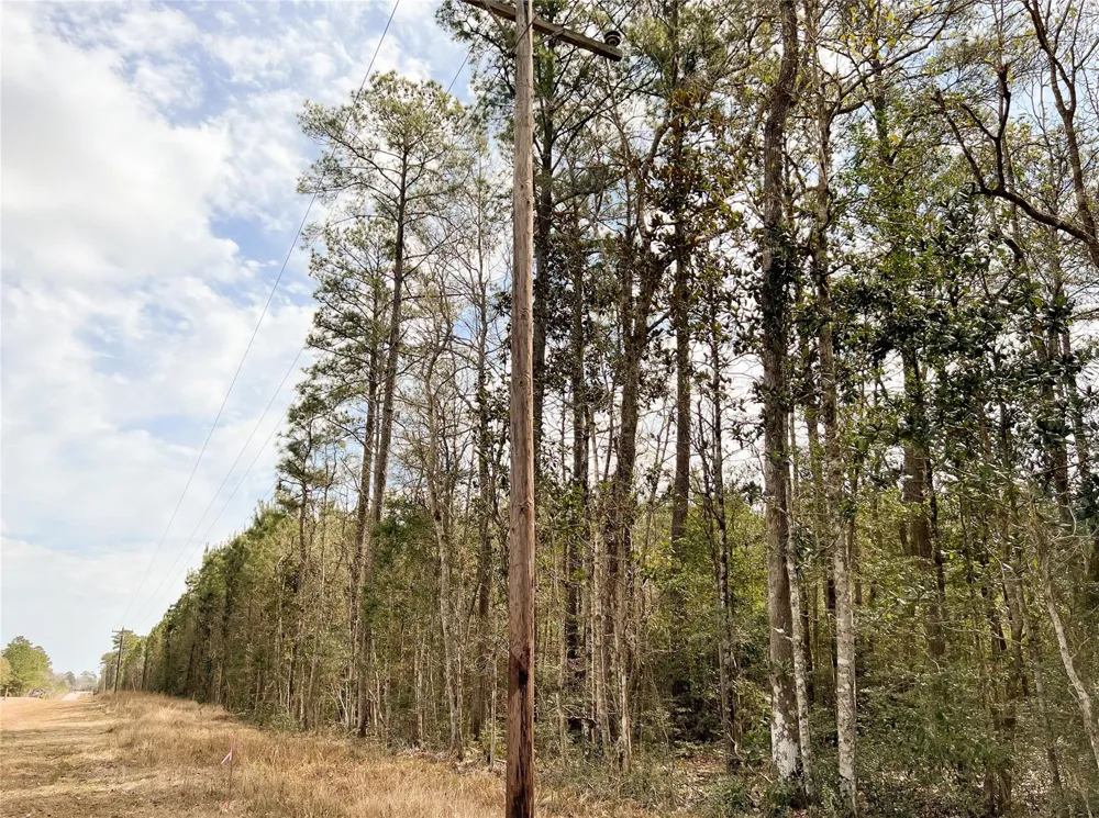 Fm 1746 Town Bluff, TX 77660