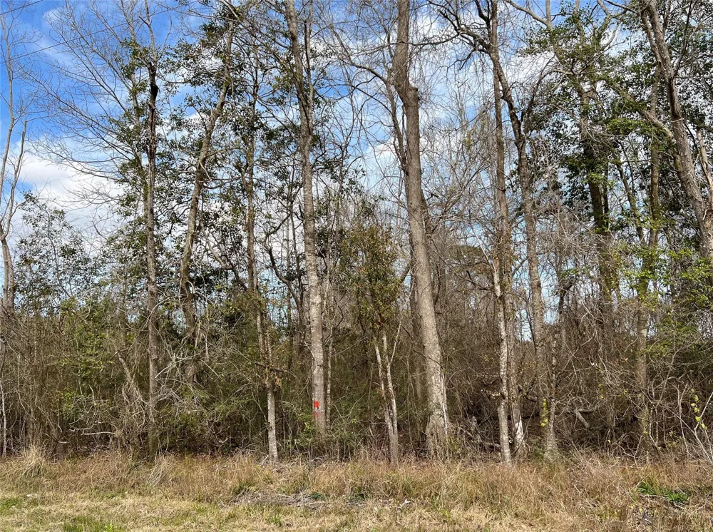 Fm 1746 Town Bluff, TX 77660