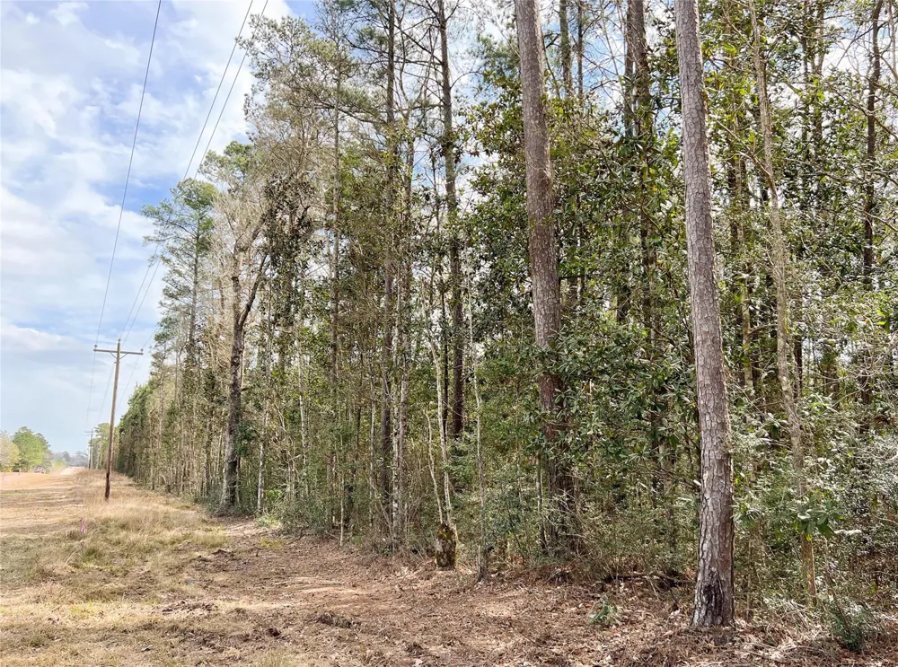 Fm 1746 Town Bluff, TX 77660