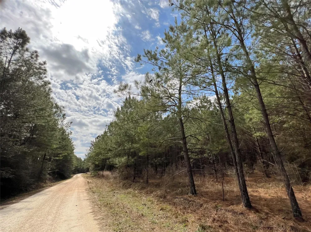 Fm 1746 Town Bluff, TX 77660